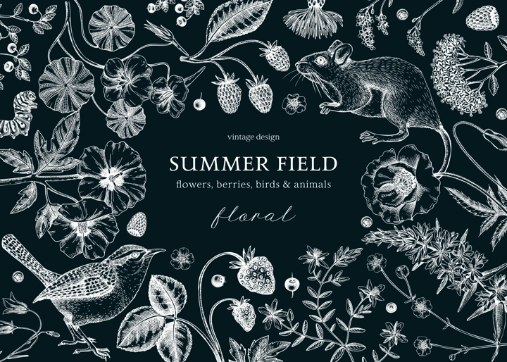 Vintage summer background. Floral banner design. Wildlife sketches on chalkboard. Wildflowers botanical illustration. Hand-drawn field flowers, birds, and animals for invitation, frame, card.